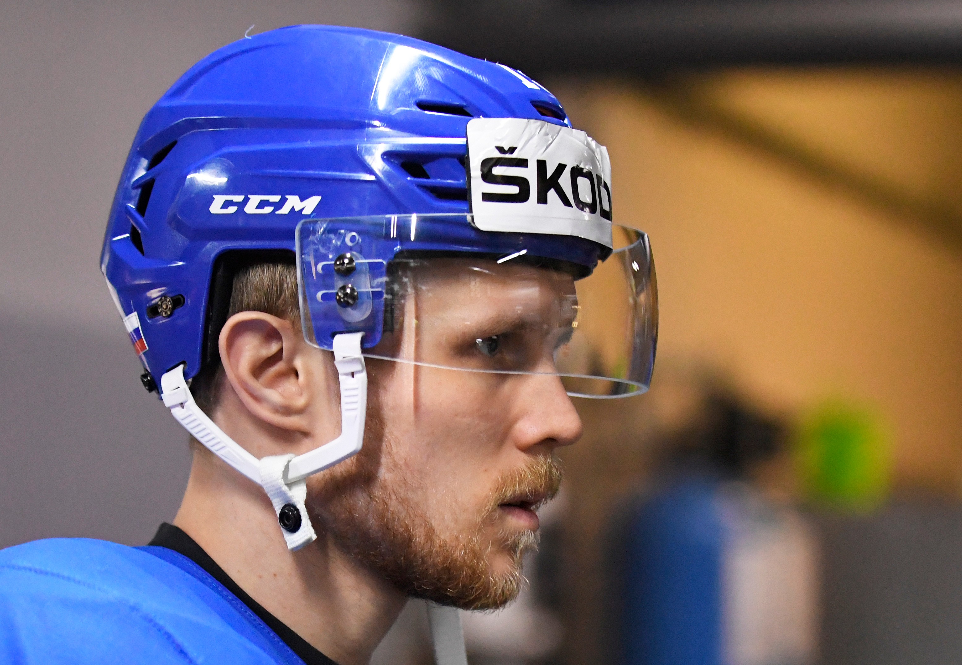 Hokejová reprezentácia